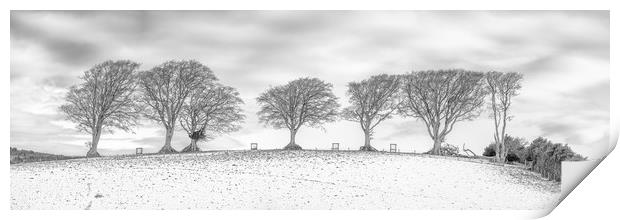 Snow at the Seven Sisters Trees, Holnicote, Exmoor Print by Shaun Davey