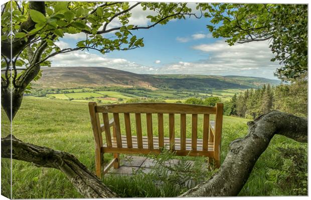 Panoramic view from Tom's Bench, Exmoor Canvas Print by Shaun Davey