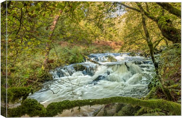 Horner Water in flood, Exmoor National Park Canvas Print by Shaun Davey
