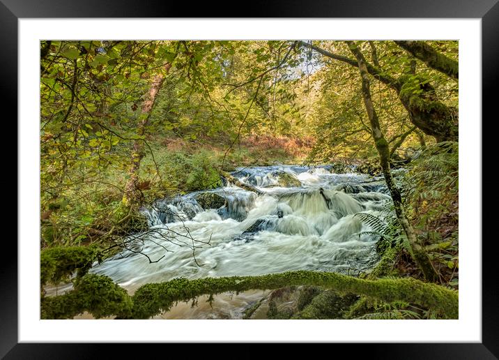 Horner Water in flood, Exmoor National Park Framed Mounted Print by Shaun Davey