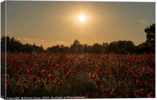 Sunset over the poppy field Canvas Print by Donna Joyce
