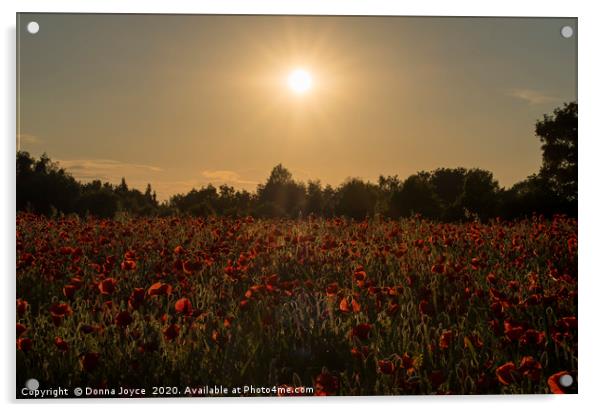 Sunset over the poppy field Acrylic by Donna Joyce