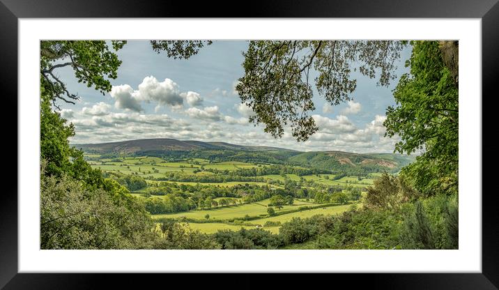 A view from beneath the trees of Selworthy Woods Framed Mounted Print by Shaun Davey