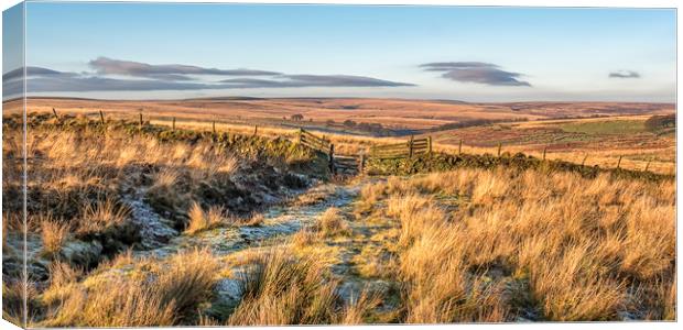 Frosty dawn gateway, Porlock Allotment Canvas Print by Shaun Davey