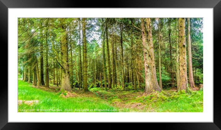 The Enchanted Forest Framed Mounted Print by Lrd Robert Barnes