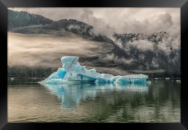 Iceberg, Le Conte Bay, Petersburg, Alaska Framed Print by Shaun Davey