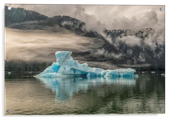 Iceberg, Le Conte Bay, Petersburg, Alaska Acrylic by Shaun Davey