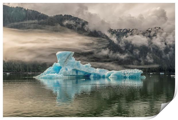 Iceberg, Le Conte Bay, Petersburg, Alaska Print by Shaun Davey