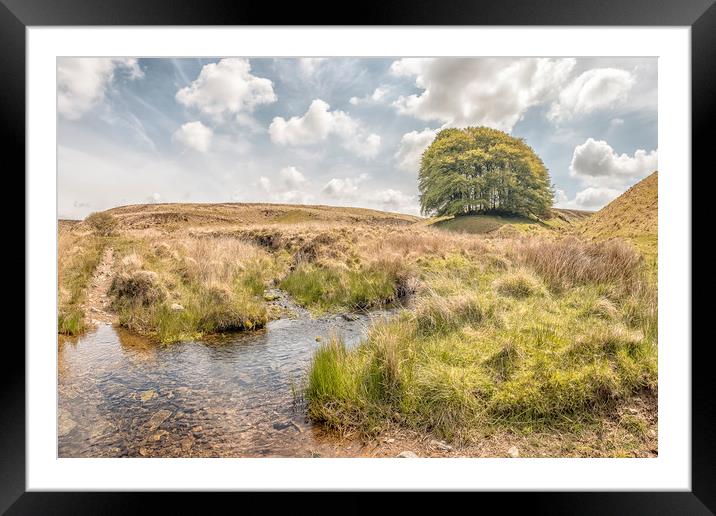 A Sunny Day at Three Combes Foot, Exmoor Framed Mounted Print by Shaun Davey