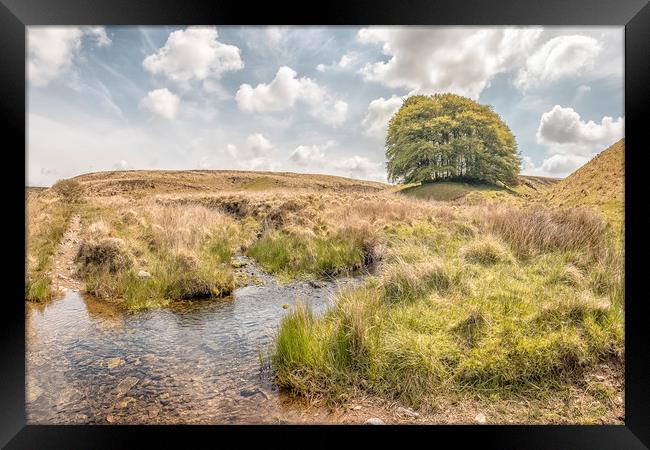 A Sunny Day at Three Combes Foot, Exmoor Framed Print by Shaun Davey