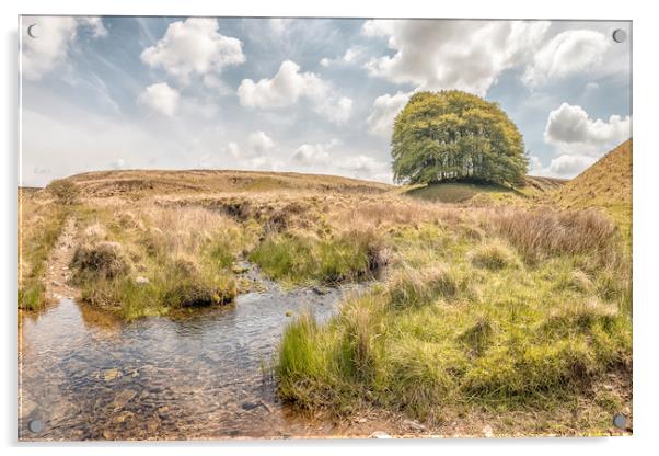 A Sunny Day at Three Combes Foot, Exmoor Acrylic by Shaun Davey