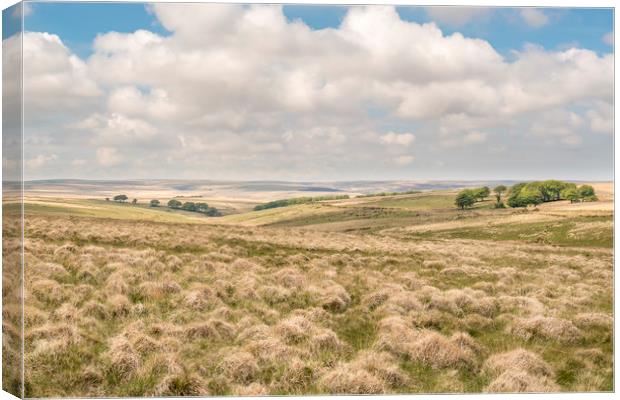 Subtle colours of Exmoor moorland in spring Canvas Print by Shaun Davey