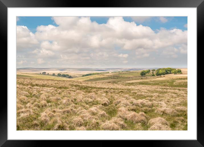 Subtle colours of Exmoor moorland in spring Framed Mounted Print by Shaun Davey
