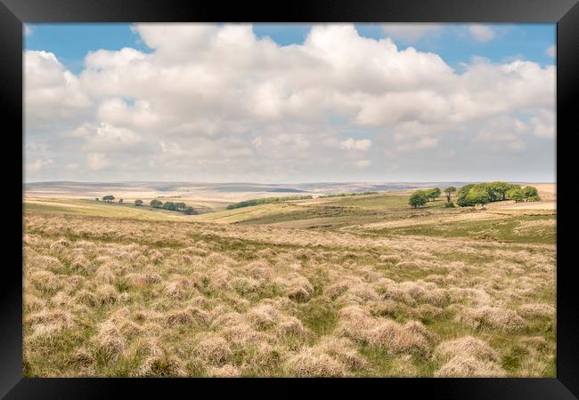 Subtle colours of Exmoor moorland in spring Framed Print by Shaun Davey