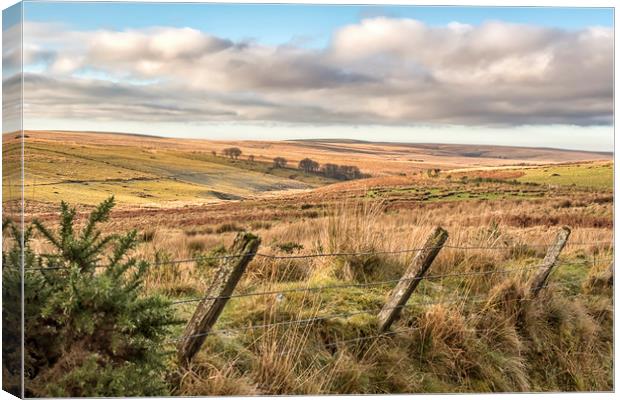 Frosty view Southwest from Larkbarrow, Exmoor Canvas Print by Shaun Davey