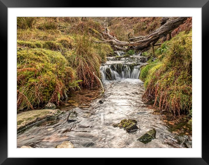 Sweetworthy Combe, Dunkery, Exmoor Framed Mounted Print by Shaun Davey