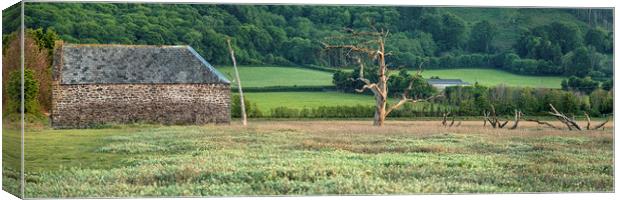Disused barn and skeletal trees, Porlock Marsh Canvas Print by Shaun Davey