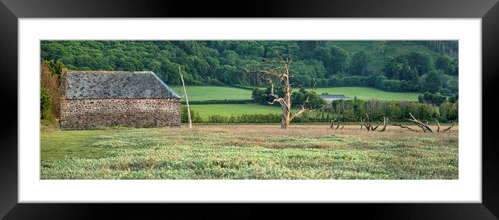 Disused barn and skeletal trees, Porlock Marsh Framed Mounted Print by Shaun Davey