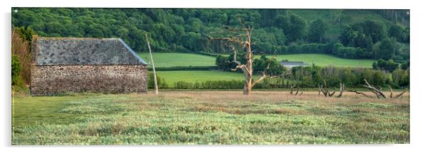 Disused barn and skeletal trees, Porlock Marsh Acrylic by Shaun Davey