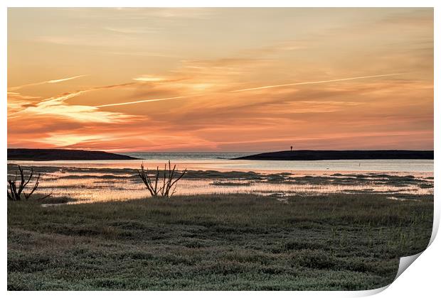 Sunset at high tide on Porlock Marsh Print by Shaun Davey