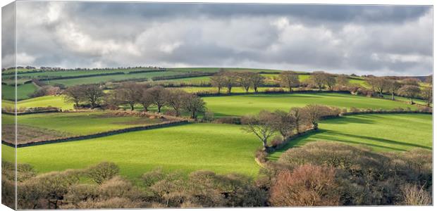 View over Wilmersham Farm and Pool Farm, Exmoor Canvas Print by Shaun Davey