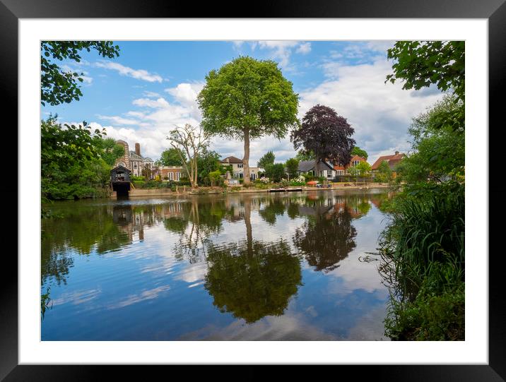 River Thames Surrey  Framed Mounted Print by Clive Eariss