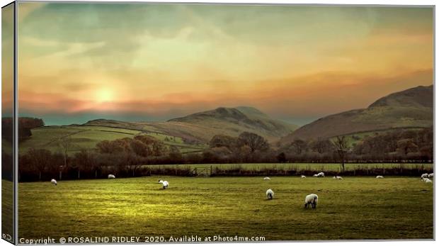 " Hazy  morning across the Loweswater  Fells " Canvas Print by ROS RIDLEY