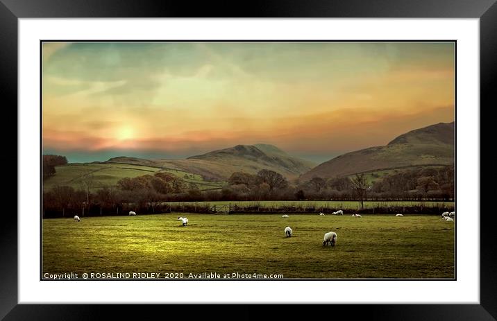 " Hazy  morning across the Loweswater  Fells " Framed Mounted Print by ROS RIDLEY
