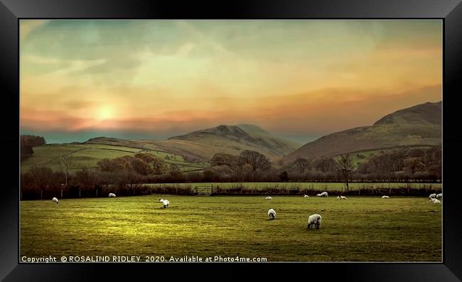 " Hazy  morning across the Loweswater  Fells " Framed Print by ROS RIDLEY