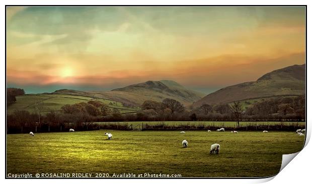 " Hazy  morning across the Loweswater  Fells " Print by ROS RIDLEY
