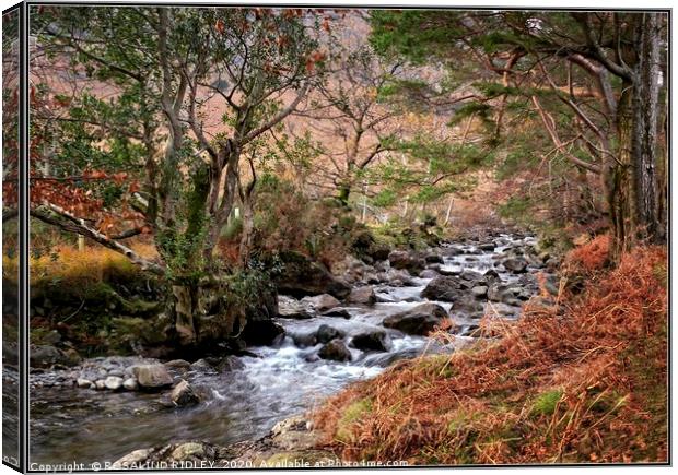 "Autumn stream Wasdale" Canvas Print by ROS RIDLEY