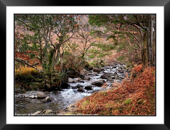 "Autumn stream Wasdale" Framed Mounted Print by ROS RIDLEY