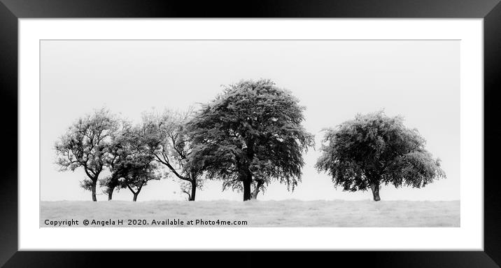 Line of trees Framed Mounted Print by Angela H