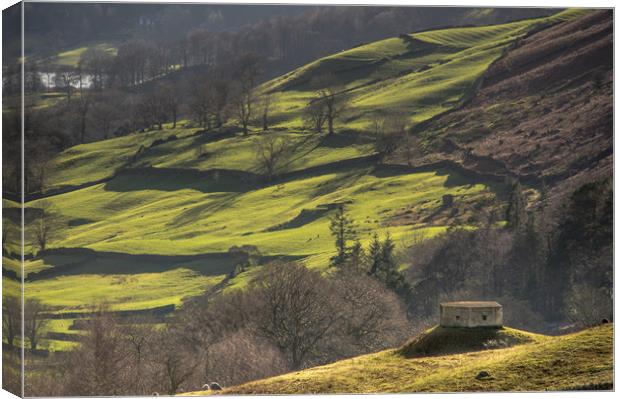 Sentry Post in Grasmere Canvas Print by John Malley
