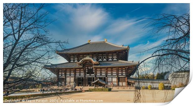 Nara castle of japan Print by Yagya Parajuli