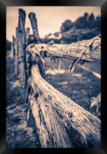 Old Rustic Fence Framed Print by Gareth Burge Photography