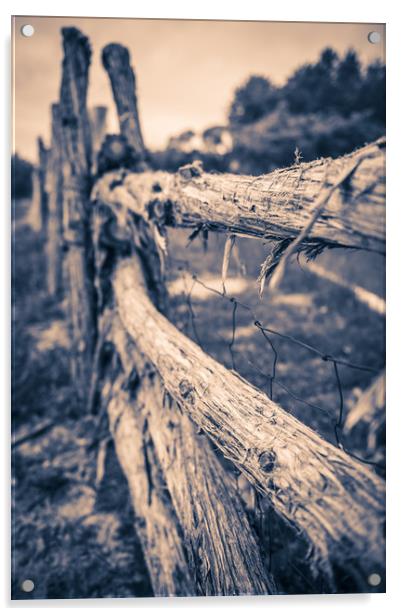 Old Rustic Fence Acrylic by Gareth Burge Photography