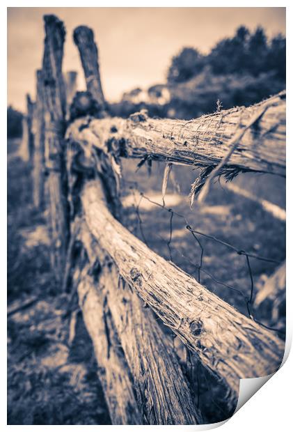 Old Rustic Fence Print by Gareth Burge Photography