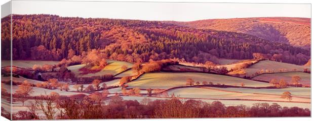 Frosty dawn fields on the Vale of Porlock Canvas Print by Shaun Davey