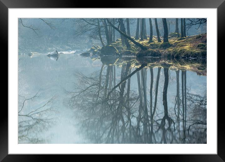 Long Tall Reflections Framed Mounted Print by John Malley