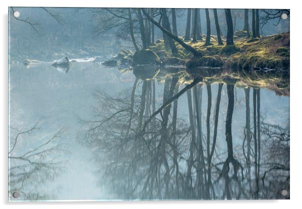 Long Tall Reflections Acrylic by John Malley