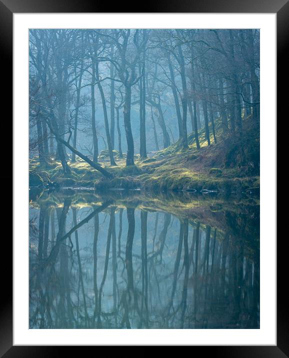 Moods by the River Framed Mounted Print by John Malley