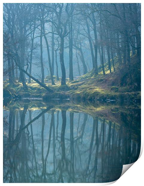 Moods by the River Print by John Malley