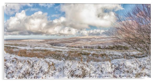 Snowy January view towards Dunkery Beacon Acrylic by Shaun Davey