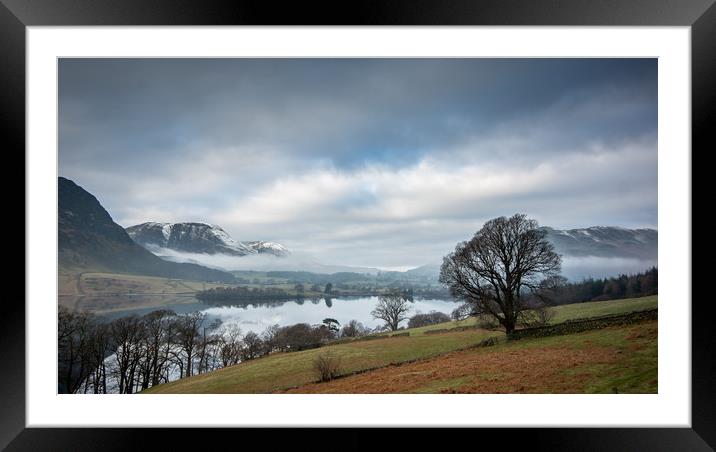 The Lonesome Tree Framed Mounted Print by John Malley