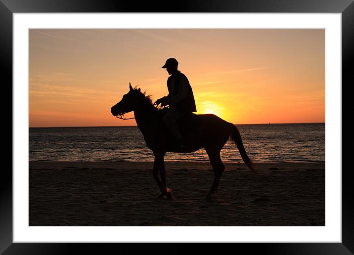 Horserider at sunset Framed Mounted Print by Gail Johnson