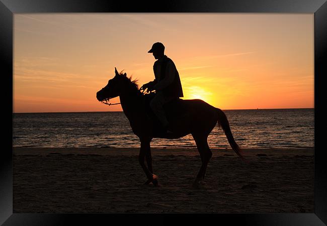 Horserider at sunset Framed Print by Gail Johnson