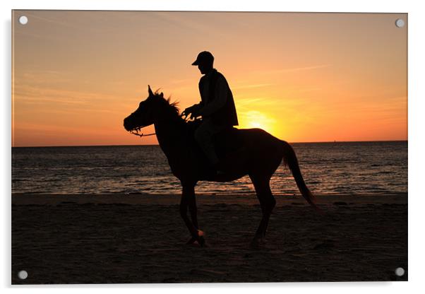 Horserider at sunset Acrylic by Gail Johnson