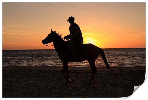 Horserider at sunset Print by Gail Johnson