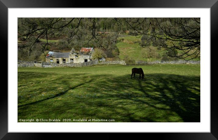 Tree shadows on the Cliff, Eyam                    Framed Mounted Print by Chris Drabble